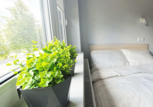 Apartament dwuosobowy z kwiatami - Wysokie Mazowieckie