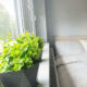 Apartament dwuosobowy z kwiatami - Wysokie Mazowieckie